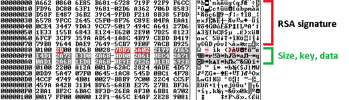 Serialized Dridex binary data after decyption