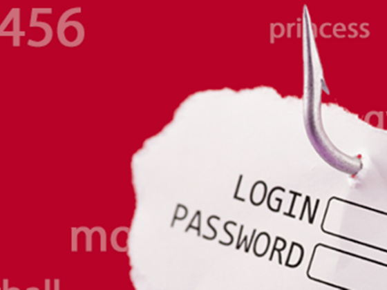 passwords, Passwörter, mots de passe, password