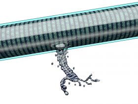 Private Data openly accessible due to leak