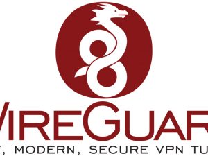 WireGuard Logo - VPN