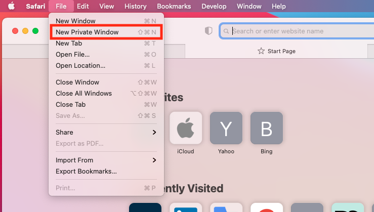 Private browsing in Safari on your Mac 