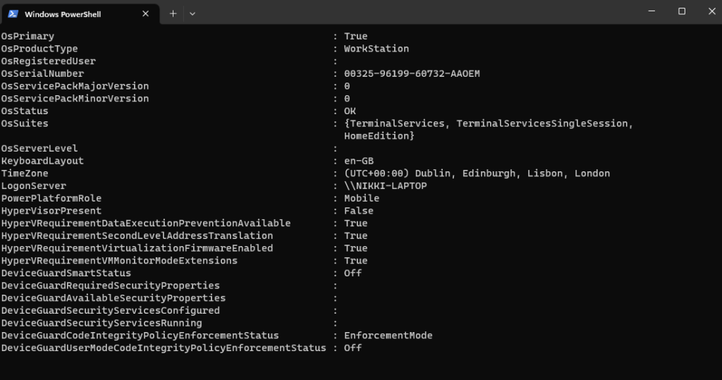 La fenêtre de l’application Windows PowerShell s’affiche.