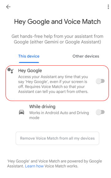 Within Hey Google and Voice Match, two toggle switches appear. Both have been switched to off.