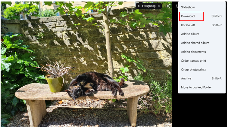 Vous pouvez télécharger un fichier séparé à partir de Google Photos en cliquant sur l’option « Télécharger » dans le menu.